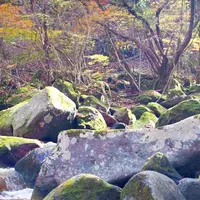 マゼノ渓谷の写真・動画_image_168002
