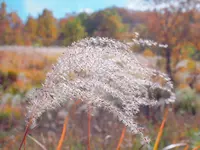マゼノ渓谷の写真・動画_image_168003