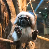那須どうぶつ王国の写真・動画_image_168030