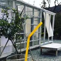 檸檬ホテルの写真・動画_image_168181