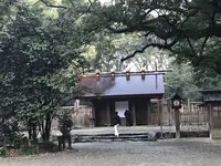 上知我麻神社の写真・動画_image_168221