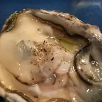 燦坐の写真・動画_image_168269