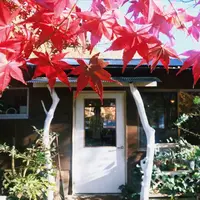 cafe Karinの写真・動画_image_168313