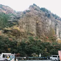 豊作市場の写真・動画_image_168354