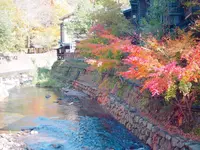 田の原川の写真・動画_image_168374