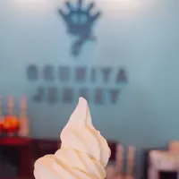 道の駅小国 ジャージーソフト屋さん OGUNIYA JERSEYの写真・動画_image_168421