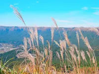 大観峰の写真・動画_image_168422