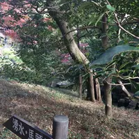 殿ヶ谷戸庭園の写真・動画_image_168444