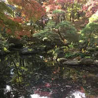 殿ヶ谷戸庭園の写真・動画_image_168447