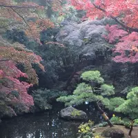 殿ヶ谷戸庭園の写真・動画_image_168450