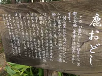 殿ヶ谷戸庭園の写真・動画_image_168451