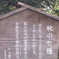 殿ヶ谷戸庭園の写真・動画_image_168456