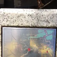 お鷹の道・真姿の池湧水群の写真・動画_image_168484