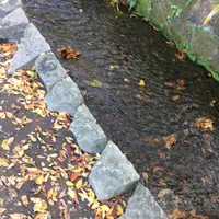 お鷹の道・真姿の池湧水群の写真・動画_image_168493