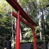 おたかの道湧水園の写真・動画_image_168501