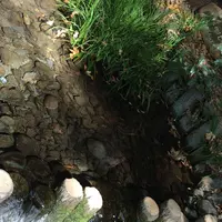 おたかの道湧水園の写真・動画_image_168503
