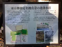 おたかの道湧水園の写真・動画_image_168505
