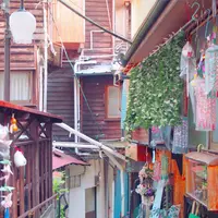 背戸屋の写真・動画_image_168506
