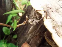 金田一温泉センター「ゆうゆうゆ〜らく」の写真・動画_image_168526