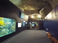 久慈地下水族科学館もぐらんぴあの写真・動画_image_168537