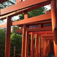 根津神社の写真・動画_image_168741