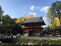 根津神社の写真・動画_image_168742