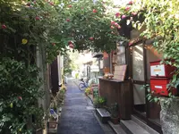 ボンジュールモジョモジョ（Bonjour mojo2）の写真・動画_image_168745