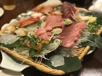 魚亀の写真・動画_image_168775