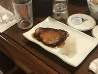 魚亀の写真・動画_image_168777