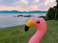 HOLLY CAMPの写真・動画_image_168838