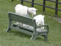 まきば公園の写真・動画_image_168962