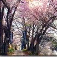 甲斐大泉温泉　パノラマの湯の写真・動画_image_168984