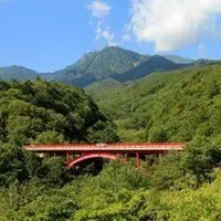 吐竜の滝の写真・動画_image_168999