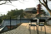 サラスヴァティ （sarasvati）の写真・動画_image_169004