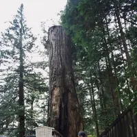 日光東照宮の写真・動画_image_169019