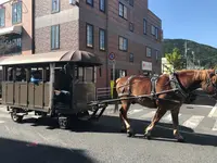 由布院駅の写真・動画_image_169023