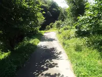 大柄沢キリシタン洞窟の写真・動画_image_169039