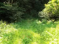 大柄沢キリシタン洞窟の写真・動画_image_169040