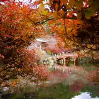 醍醐寺の写真・動画_image_169081