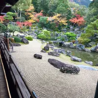 醍醐寺の写真・動画_image_169083