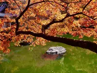 醍醐寺の写真・動画_image_169084