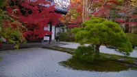 南禅寺の写真・動画_image_169087