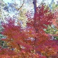 南禅寺の写真・動画_image_169088