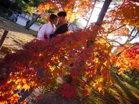 南禅寺の写真・動画_image_169091