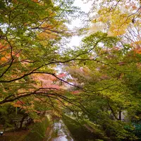 北野天満宮の写真・動画_image_169106