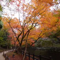 北野天満宮の写真・動画_image_169108