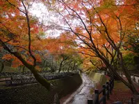 北野天満宮の写真・動画_image_169109