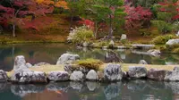 天龍寺の写真・動画_image_169119