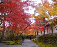 二尊院の写真・動画_image_169143