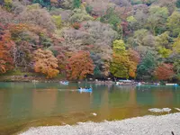 渡月橋の写真・動画_image_169162